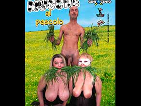 Mucche al Pascolo